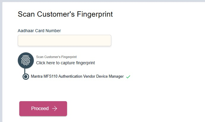 Biometric Verification Screen